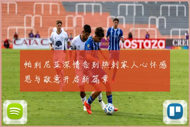帕利尼亚深情告别热刺家人心怀感恩与敬意开启新篇章
