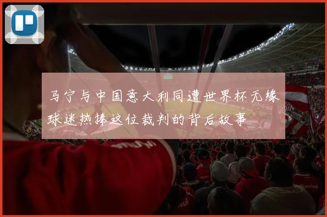 马宁与中国意大利同遭世界杯无缘球迷热捧这位裁判的背后故事