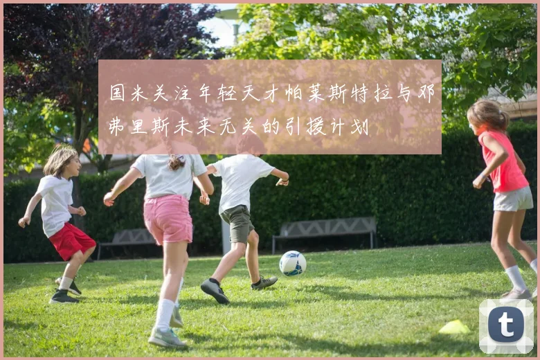 国米关注年轻天才帕莱斯特拉与邓弗里斯未来无关的引援计划
